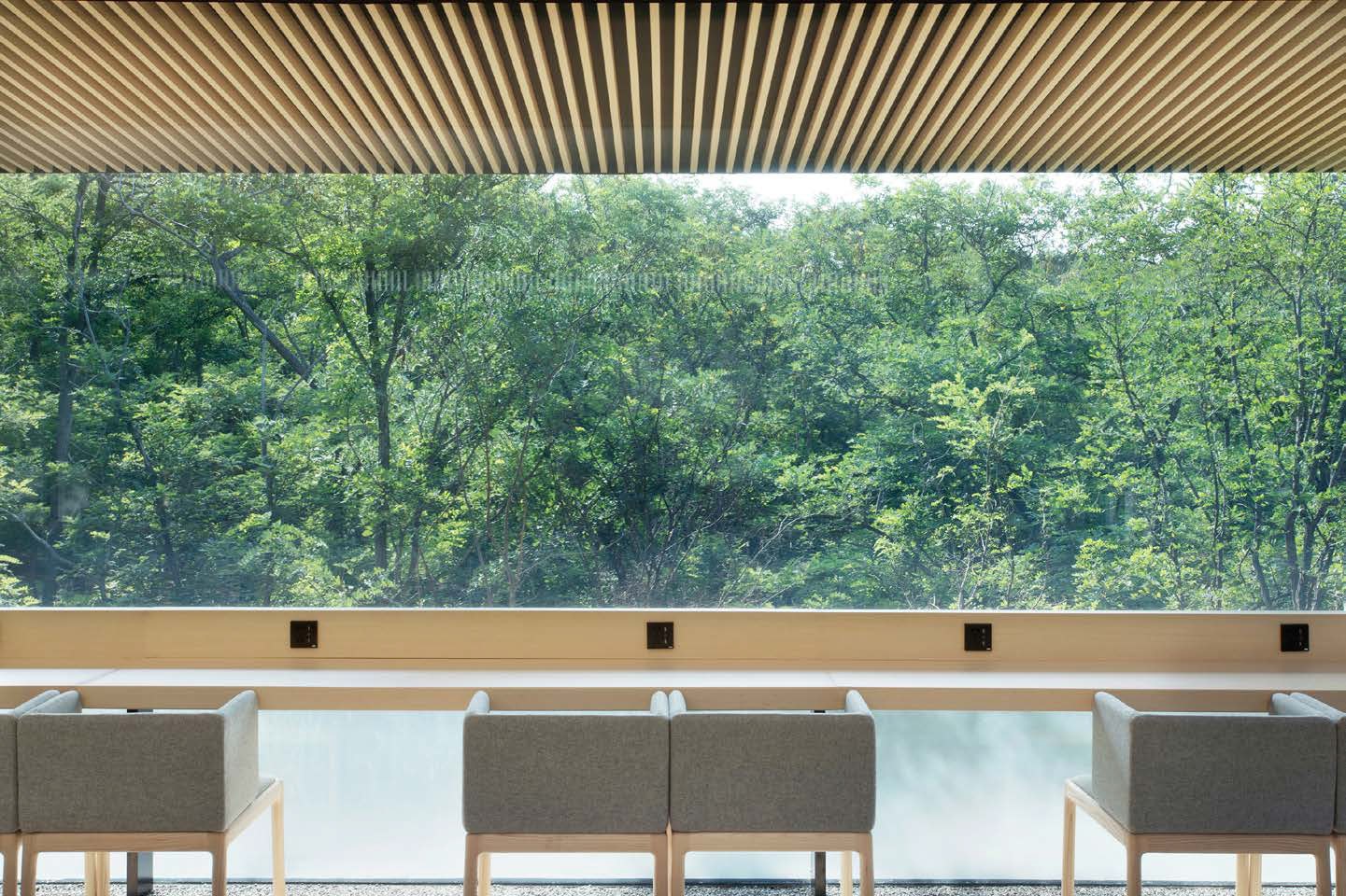 ANAYA Forest Dining Club Qinhuangdao China — by HDG