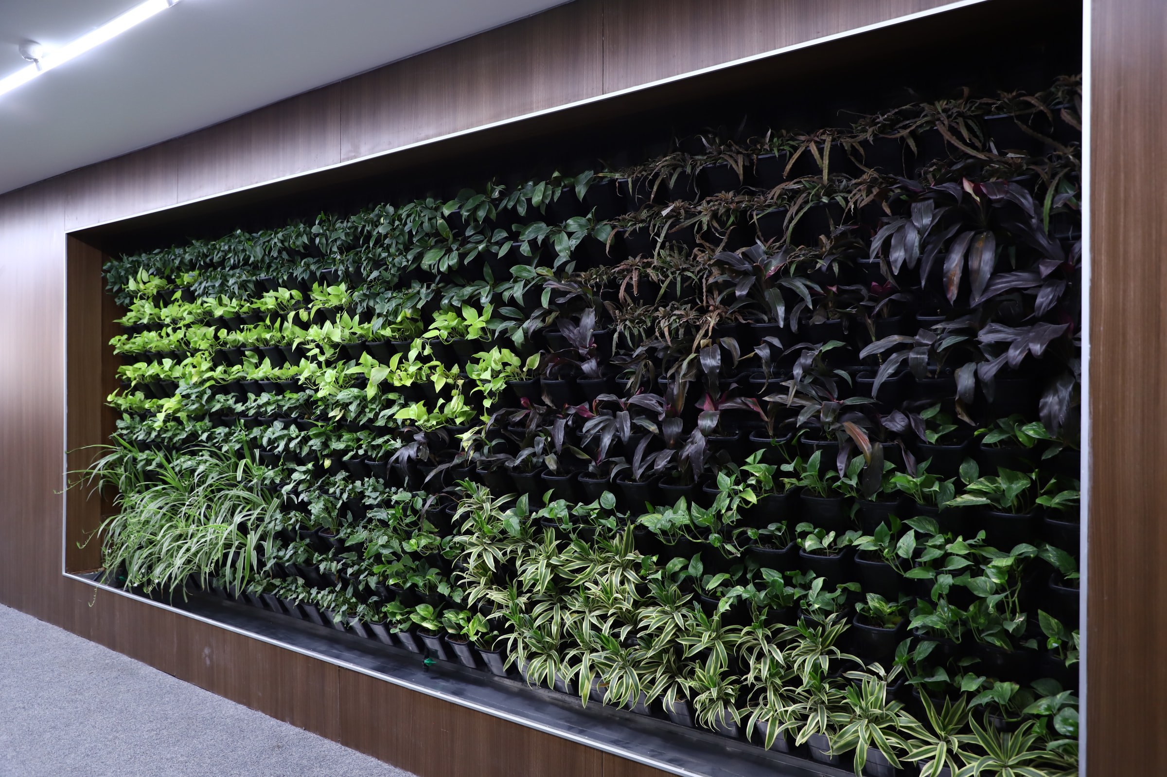 Innocean Office, India — by HDG